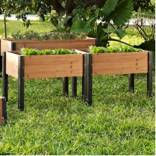 Coral Coast Bloomfield Wood Raised Garden Bed - 40L x 20D x 29H in.   